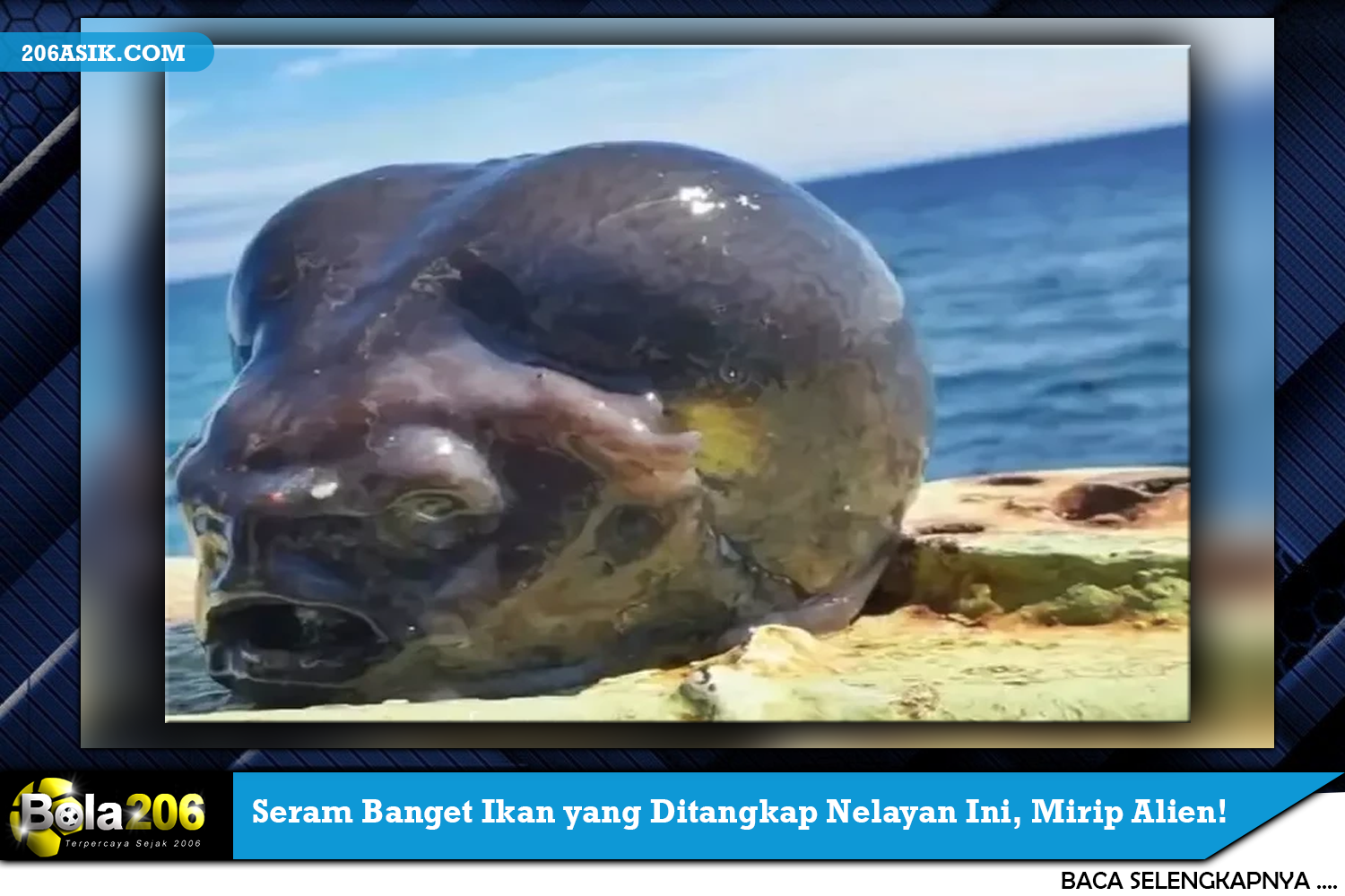 Seram Banget Ikan yang Ditangkap Nelayan Ini, Mirip Alien!